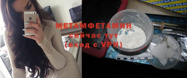 прущие грибы Новокубанск