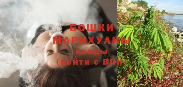дмт Новозыбков