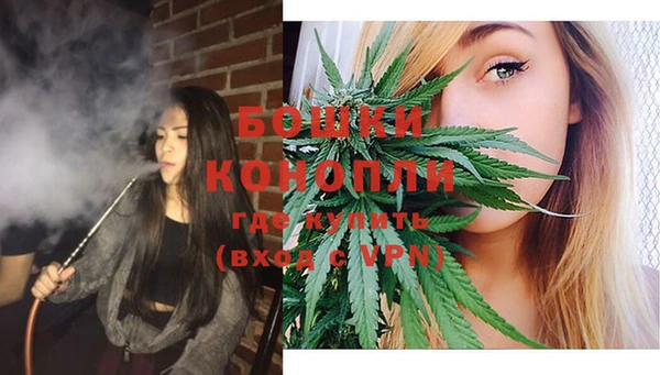 прущие грибы Новокубанск