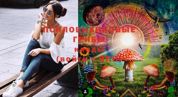 дмт Новозыбков