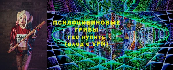 прущие грибы Новокубанск