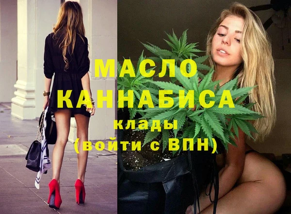 дмт Новозыбков