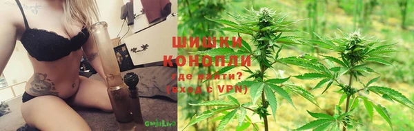 МДПВ Котовск